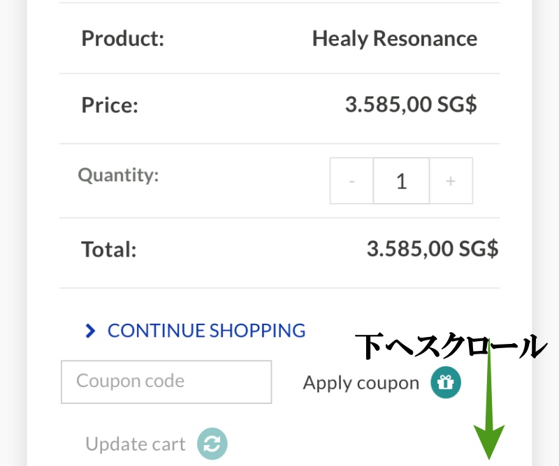 ヒーリー公式ショップからの購入方法6