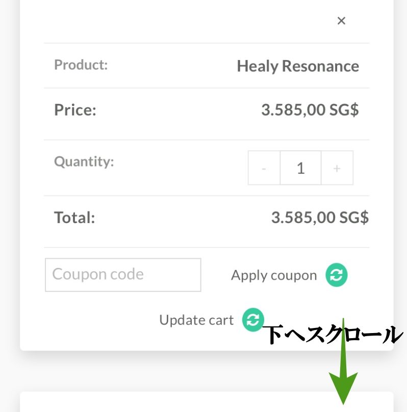 ヒーリー公式ショップからの購入方法8