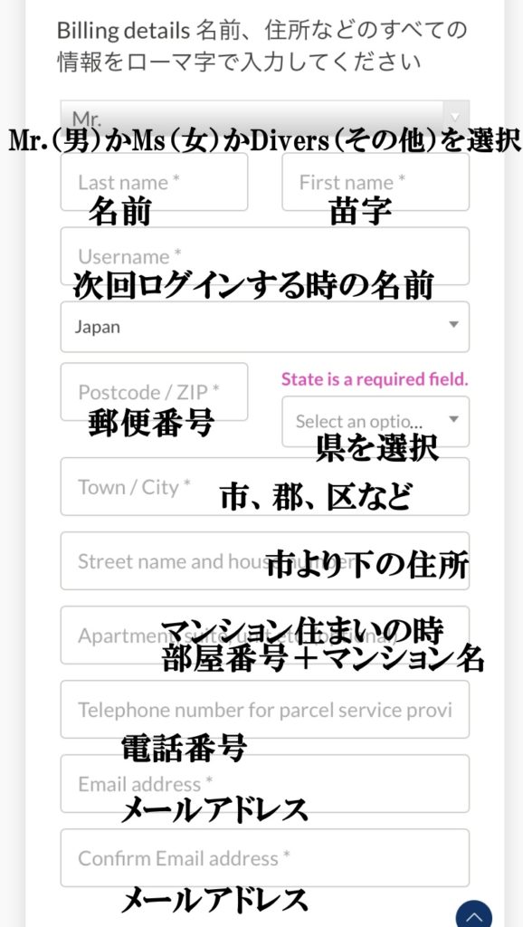 ヒーリー公式ショップからの購入方法9