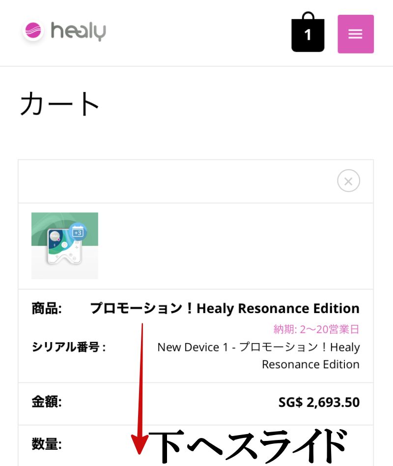 即購入可】接続ケーブル2本 ヒーリー healy pefc.com.uy